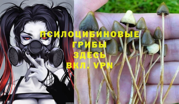 PSILOCYBIN Пересвет