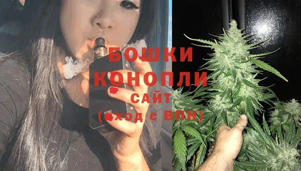 PSILOCYBIN Пересвет