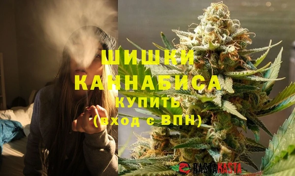 молекула духа Покачи