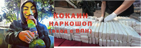 молекула духа Покачи