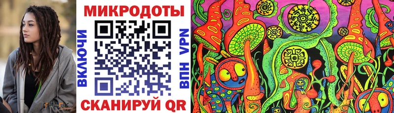 Псилоцибиновые грибы Psilocybe  Юрга 