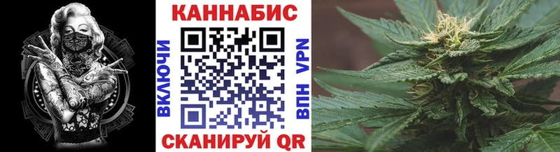 купить наркоту  Юрга  kraken ТОР  Бошки марихуана планчик 